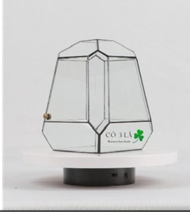 Bể kính Terrarium TRBK