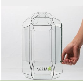 Bể kính Terrarium TRBK