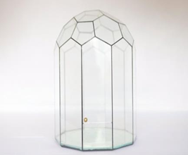 Bể kính Terrarium TRBK