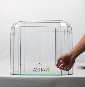 Bể kính Terrarium TRBK