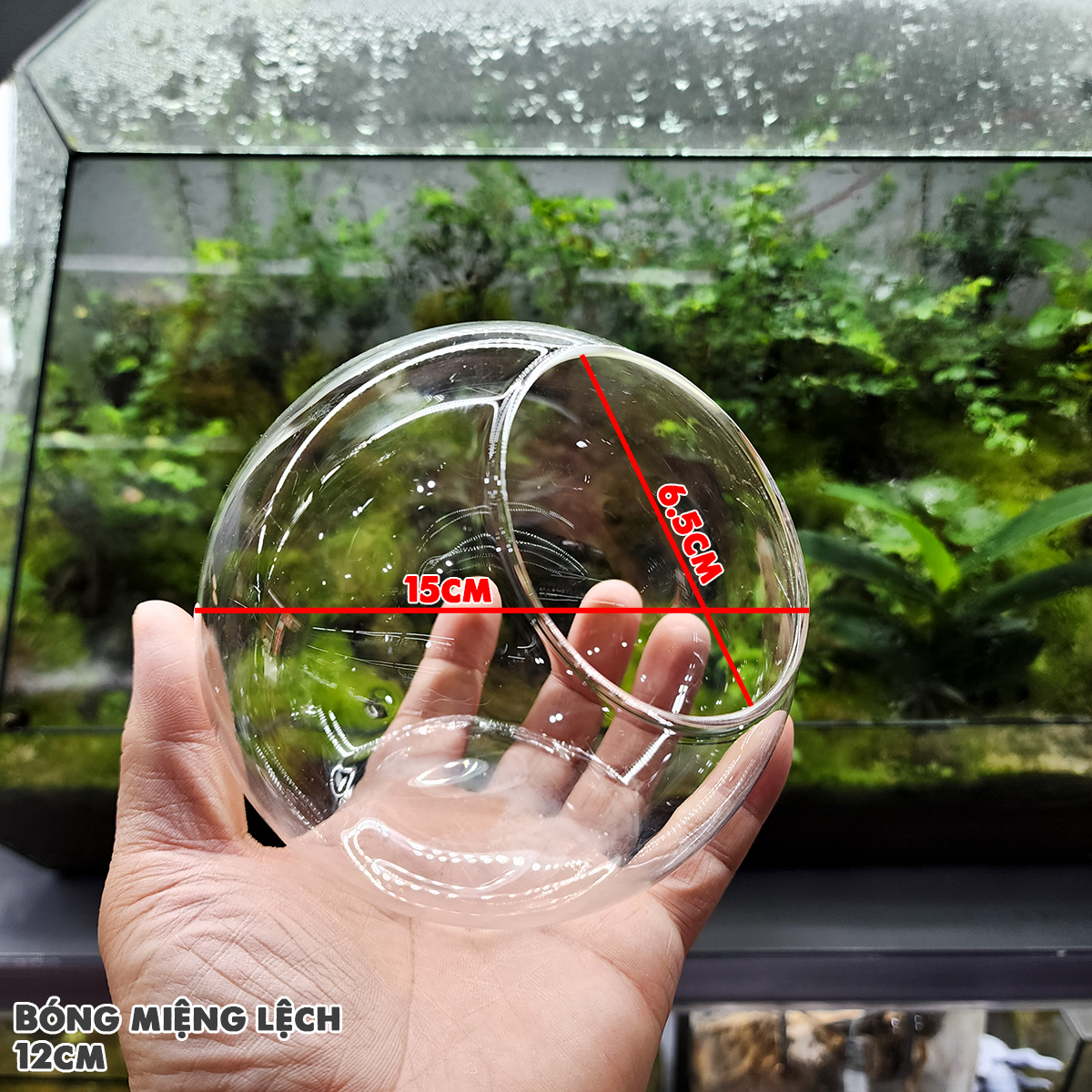 Bình thủy tinh tròn miệng lệch