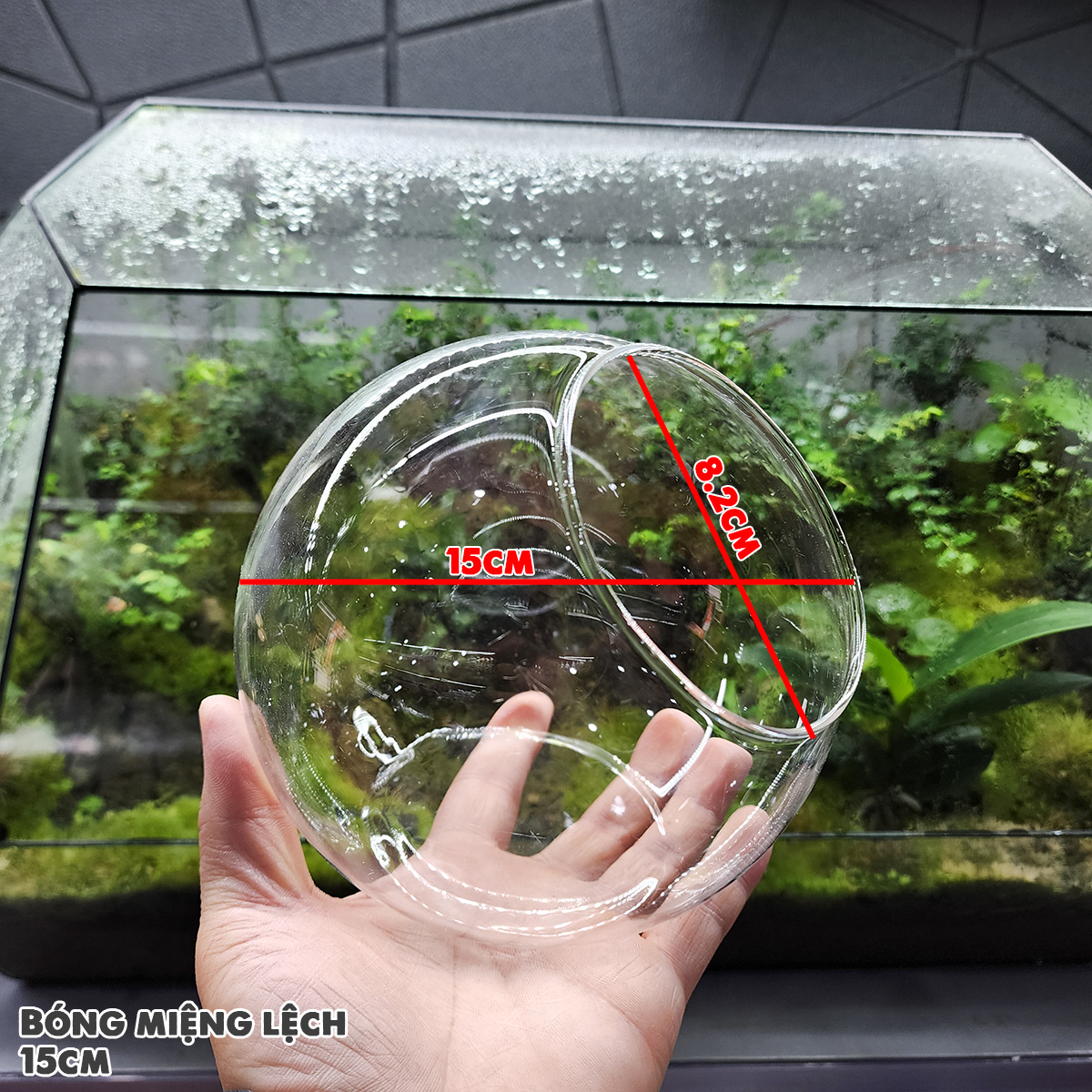 Bình thủy tinh tròn miệng lệch