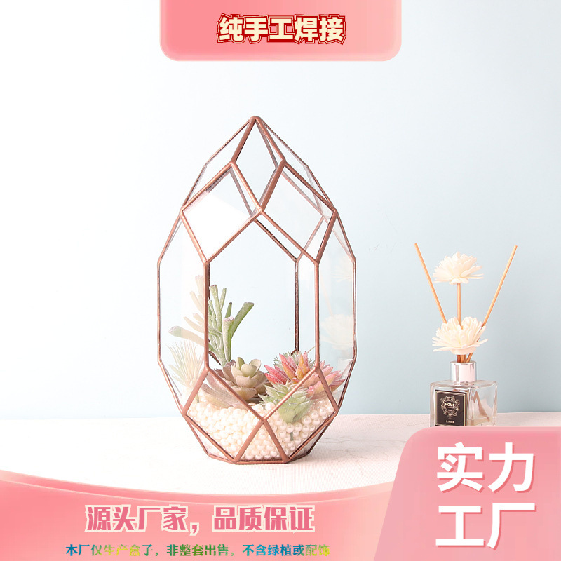 Bể Terrarium viền kim loại