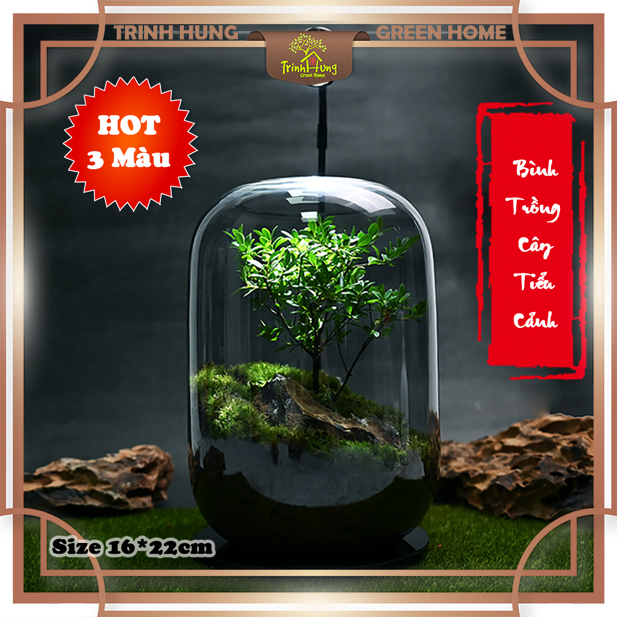 Bình thủy tinh trồng cây 16*22cm