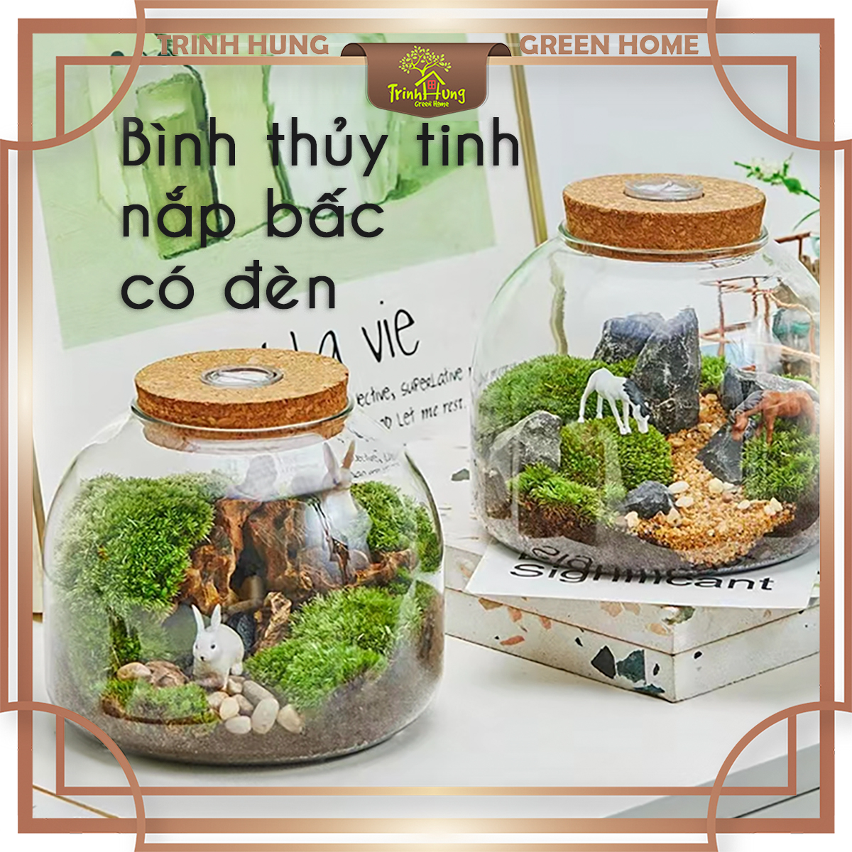 Bình thủy tinh tròn dẹt nắp bấc có đèn 15*13cm