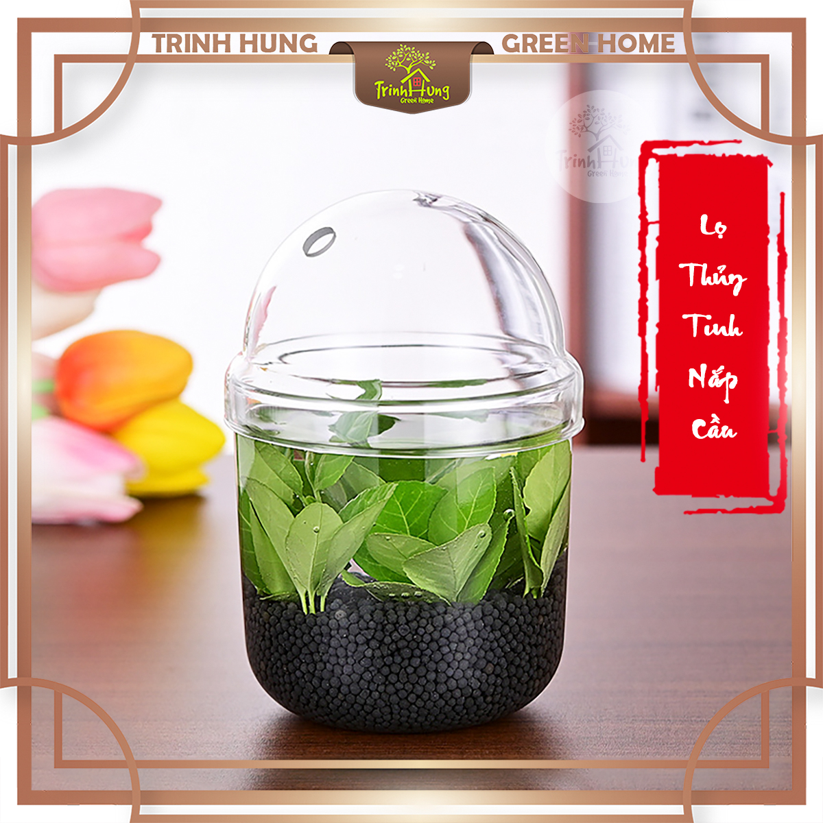 Bình thủy tinh nắp cầu 13cm
