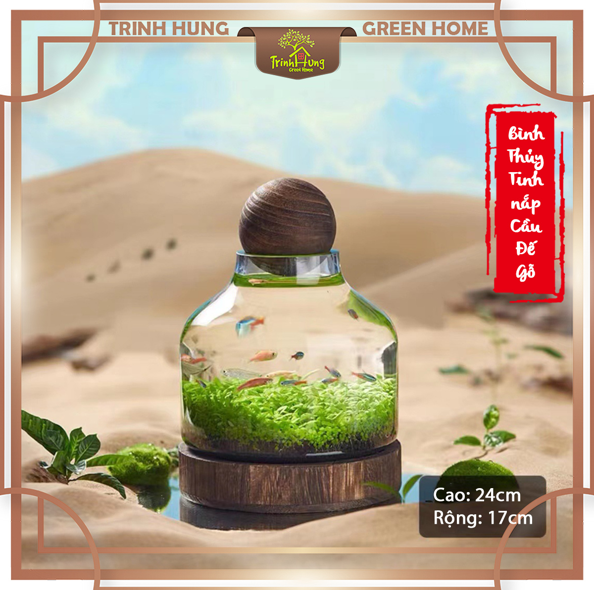 Bình thủy tinh nắp cầu đế gỗ 17*24cm