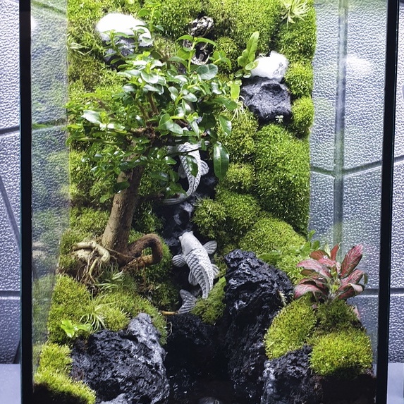 Đất kết dính.Adhesive soil - Chuyên dụng làm Terrarium, tường rêu, bán cạn, bon sai