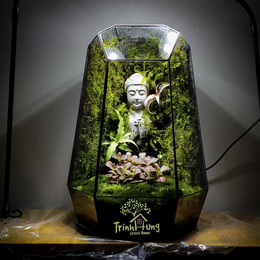 Combo 5 túi đất kết dính.Adhesive soil - Chuyên dụng làm Terrarium, tường rêu, bán cạn, bon sai