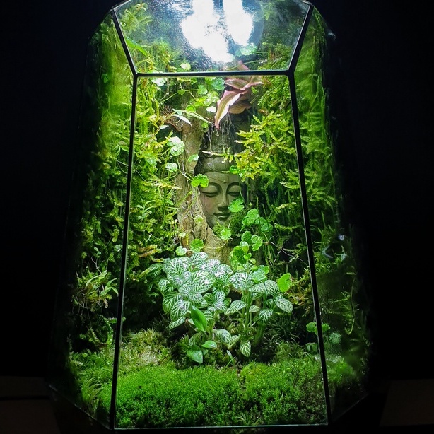 Combo 5 túi đất kết dính.Adhesive soil - Chuyên dụng làm Terrarium, tường rêu, bán cạn, bon sai