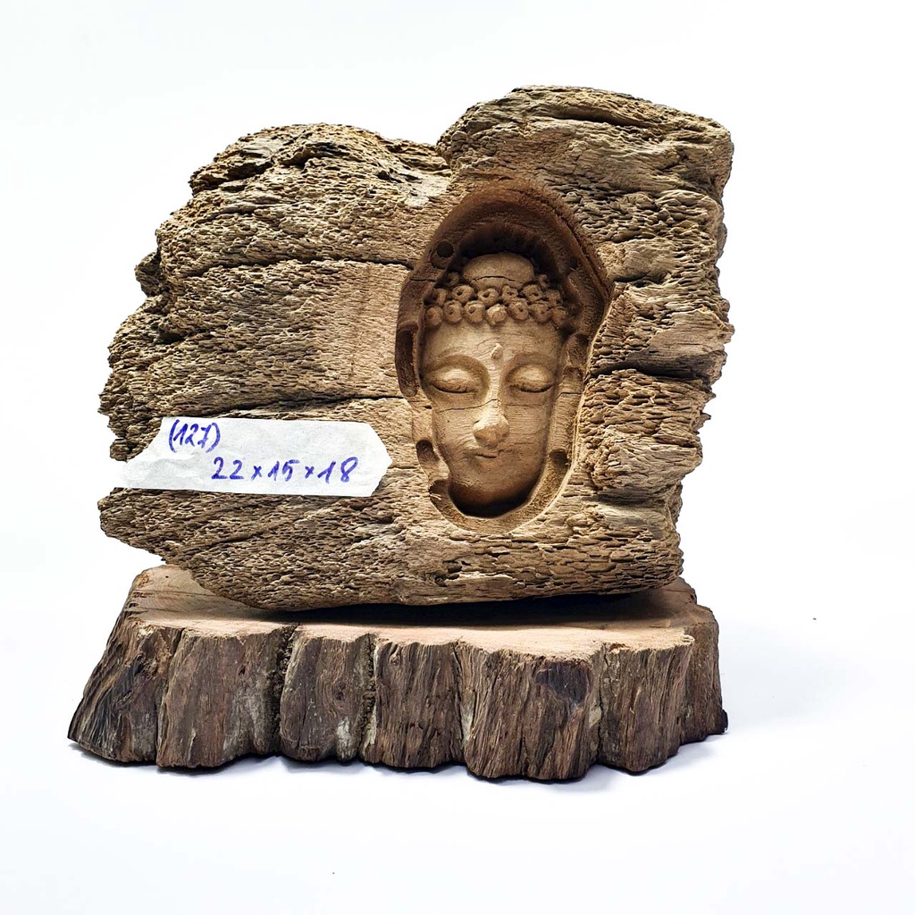 Tượng diện gỗ - tượng trưng bày, phối hợp tiểu cảnh, bonsai