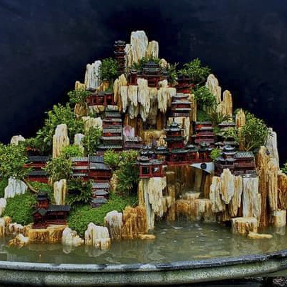 Đá gỗ hóa thạch