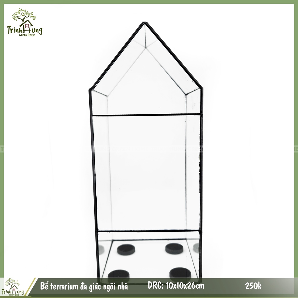 Bể terrarium hình ngôi nhà