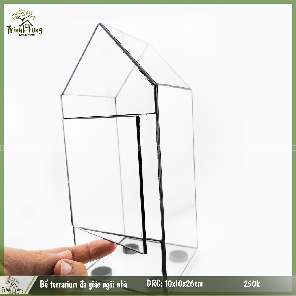 Bể terrarium hình ngôi nhà