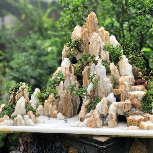 Đá gỗ hóa thạch