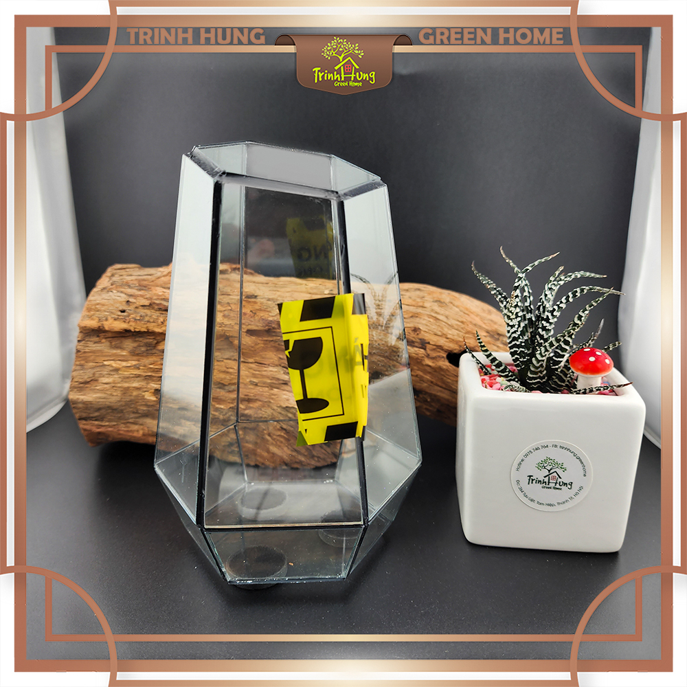 Bể kính Terrarium TRBK