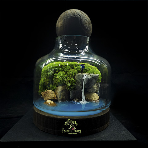 Terrarium và tiểu cảnh