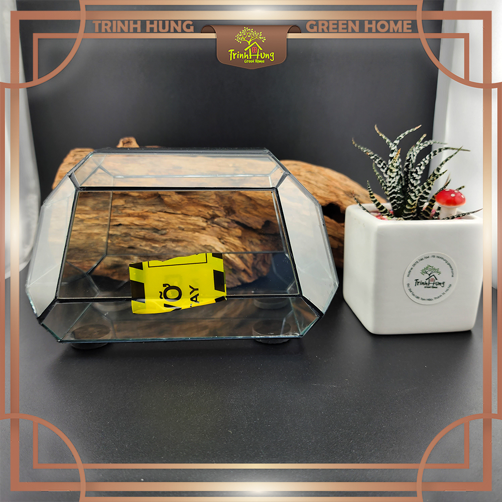 Bể kính - chai lọ setup