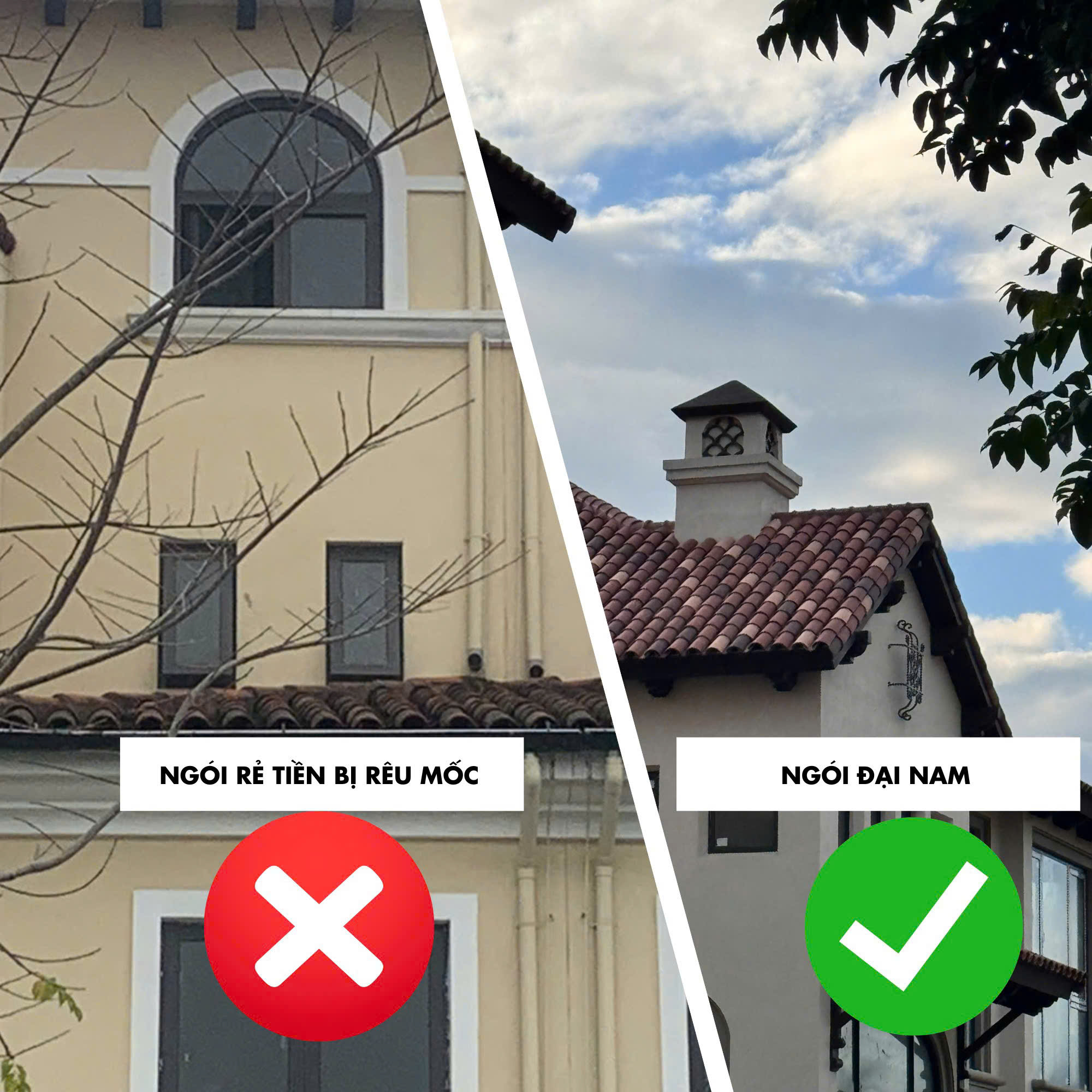 ⚡ Một mái nhà – Hai số phận...