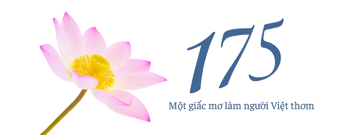 Banner lớn