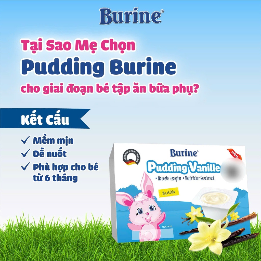 Pudding BURINE Cho Bé Ăn Dặm, Kết Cấu Mềm Mịn, Nguyên Kem - Cho Bé Từ 6 Tháng Tuổi