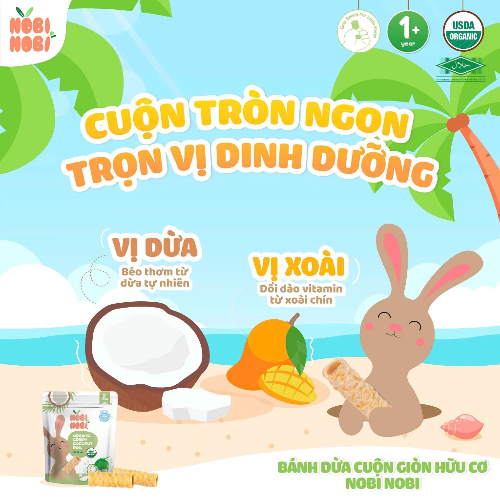 Bánh Cuộn Dừa Giòn Hữu Cơ NOBI NOBI - Túi 35gam - Không Gluten - Dành Cho Bé Từ 1 Tuổi