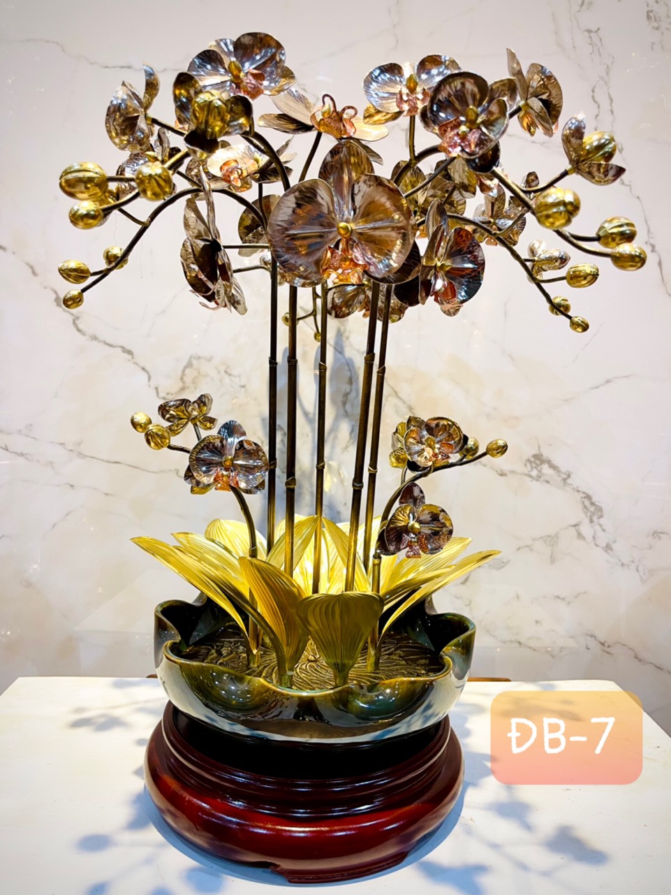 CHẬU LAN PHÚ QUÝ ĐỒNG BẠCH, 7 CÀNH (Cao 46cm)