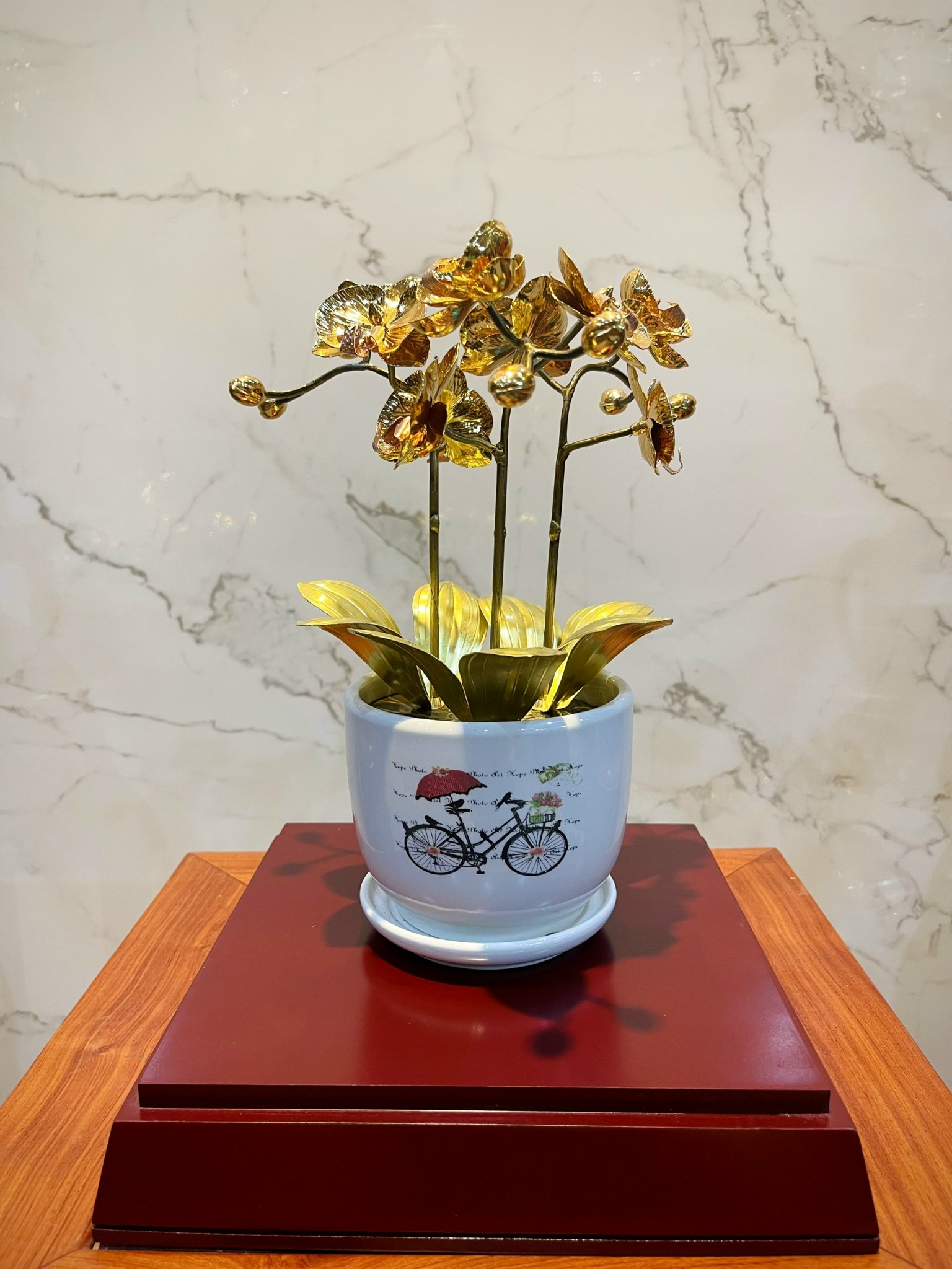 CHẬU LAN VÀNG PHÚ QUÝ, MẠ VÀNG HOA, CAO 25cm (3 CÀNH)