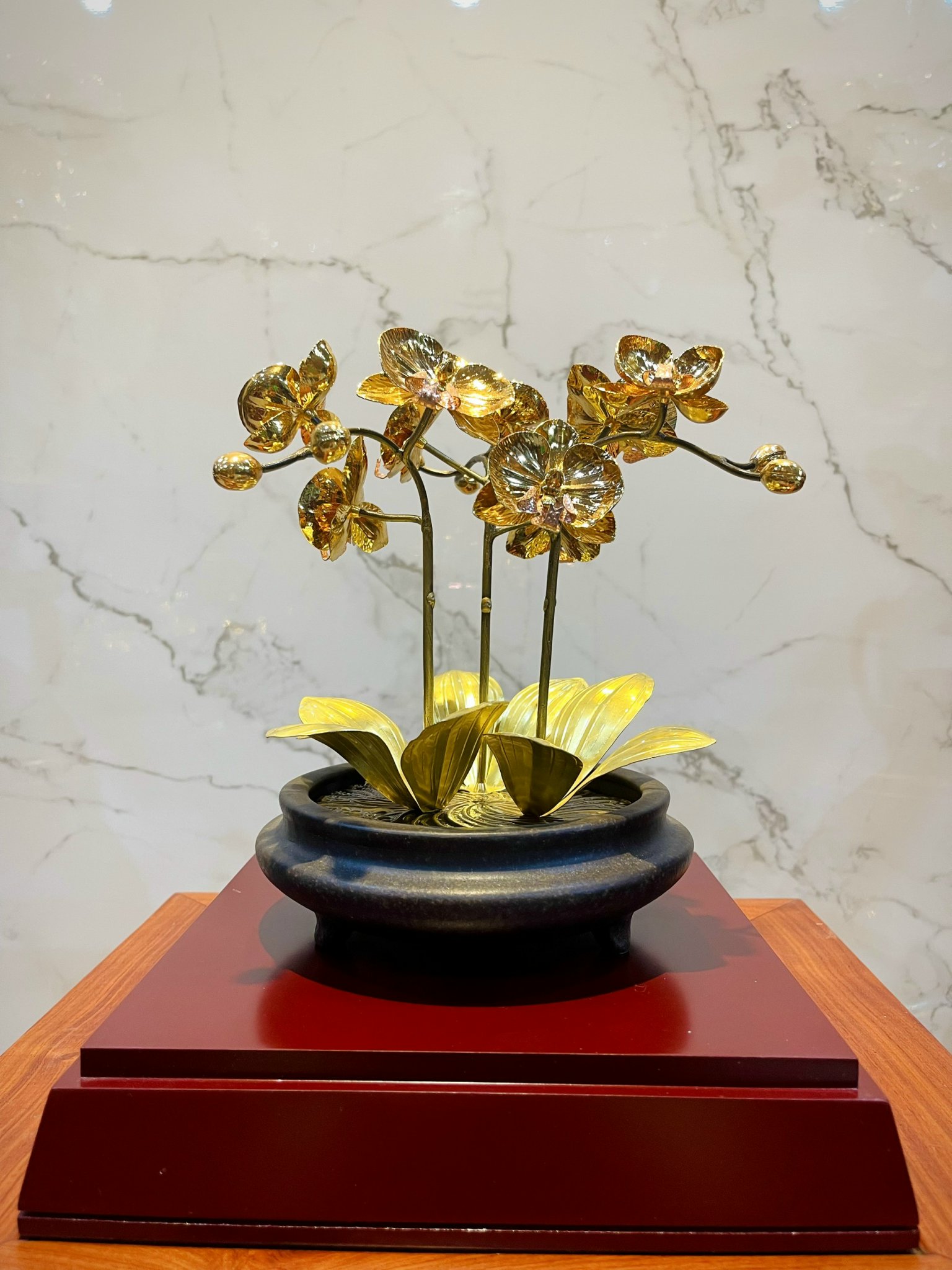 CHẬU LAN VÀNG PHÚ QUÝ, MẠ VÀNG HOA, CAO 25cm (3 CÀNH)