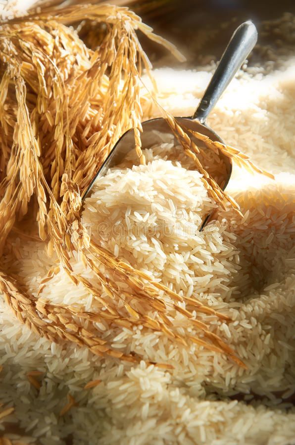 Cơm cháy và những điều cần biết về tinh bột và đường