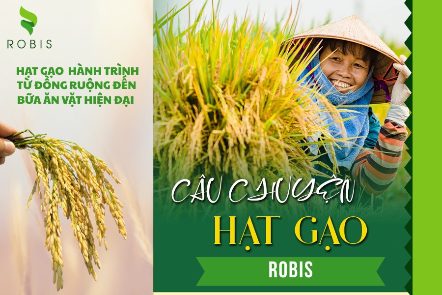 Gạo ST25 nhà robis