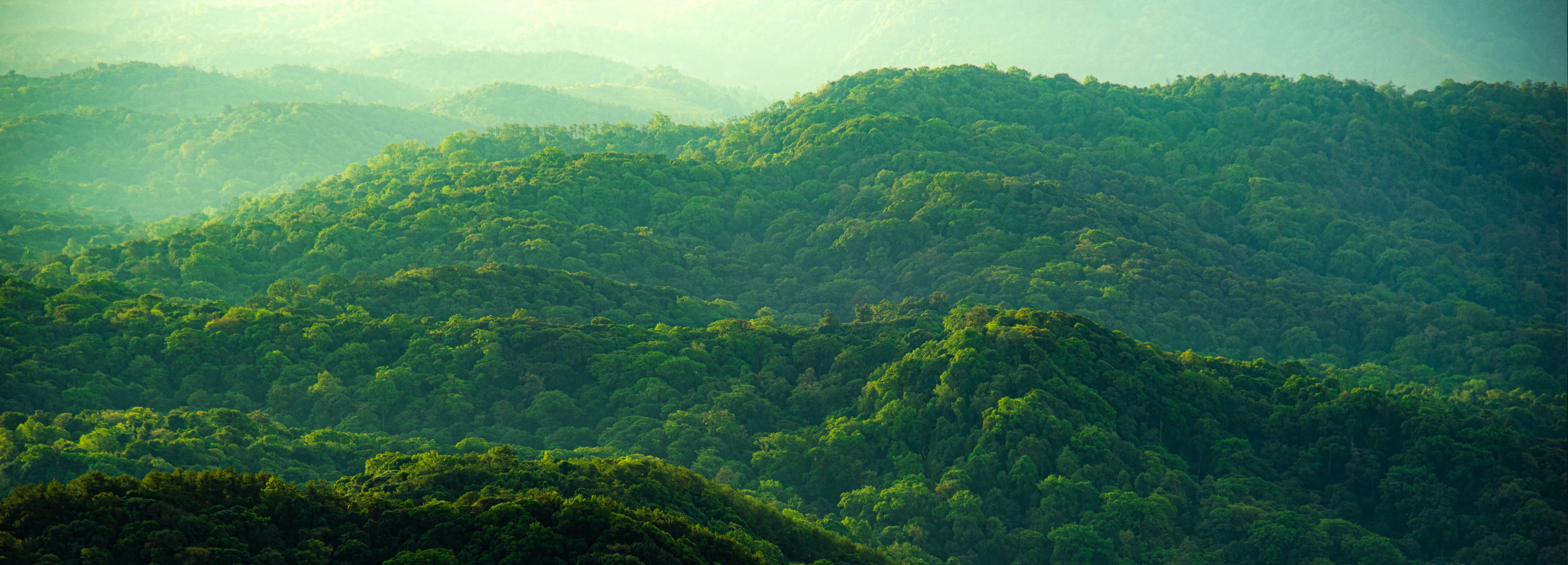 Màn hình Dell E2425HS