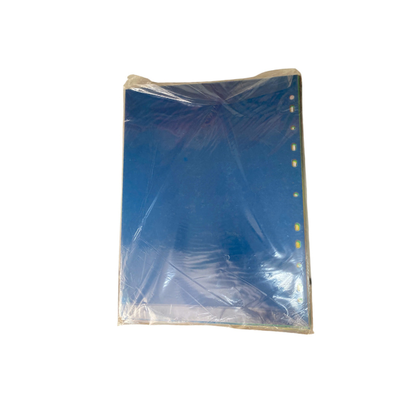 Bìa phân trang nhựa A4 12 số LD ( Bìa Phân Trang 12 số )