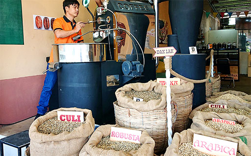 Lợi Ích Của Cà Phê Rang Mộc: Tại Sao Bạn Nên Chọn Nó?