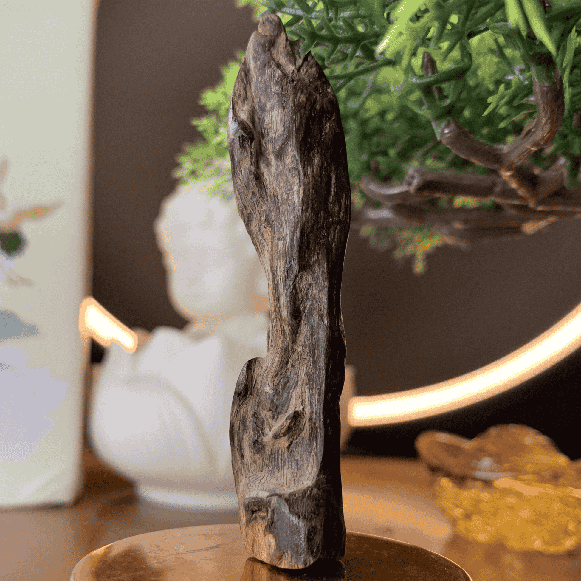 Vật Phẩm Sưu Tầm