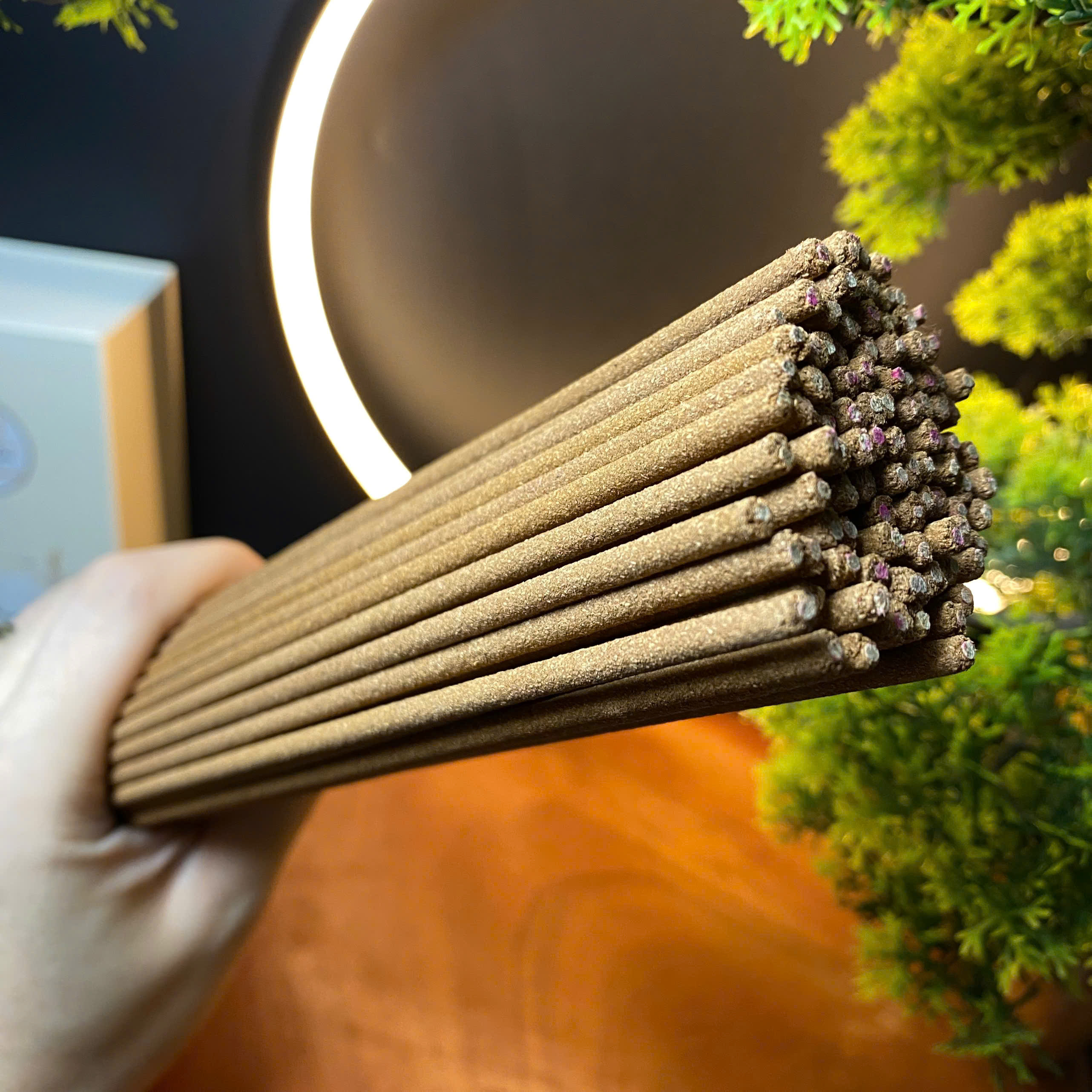 Nhang Trầm Thắp Hương Phúc Lễ thiên nhiên không hóa chất không cuộn tàn 150g 85 cây thịt nhang 25cm thơm ngọt thanh khiết 140