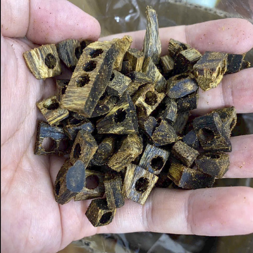 Vụn trầm Kỳ Nhiều dầu đục lỗ 10gram