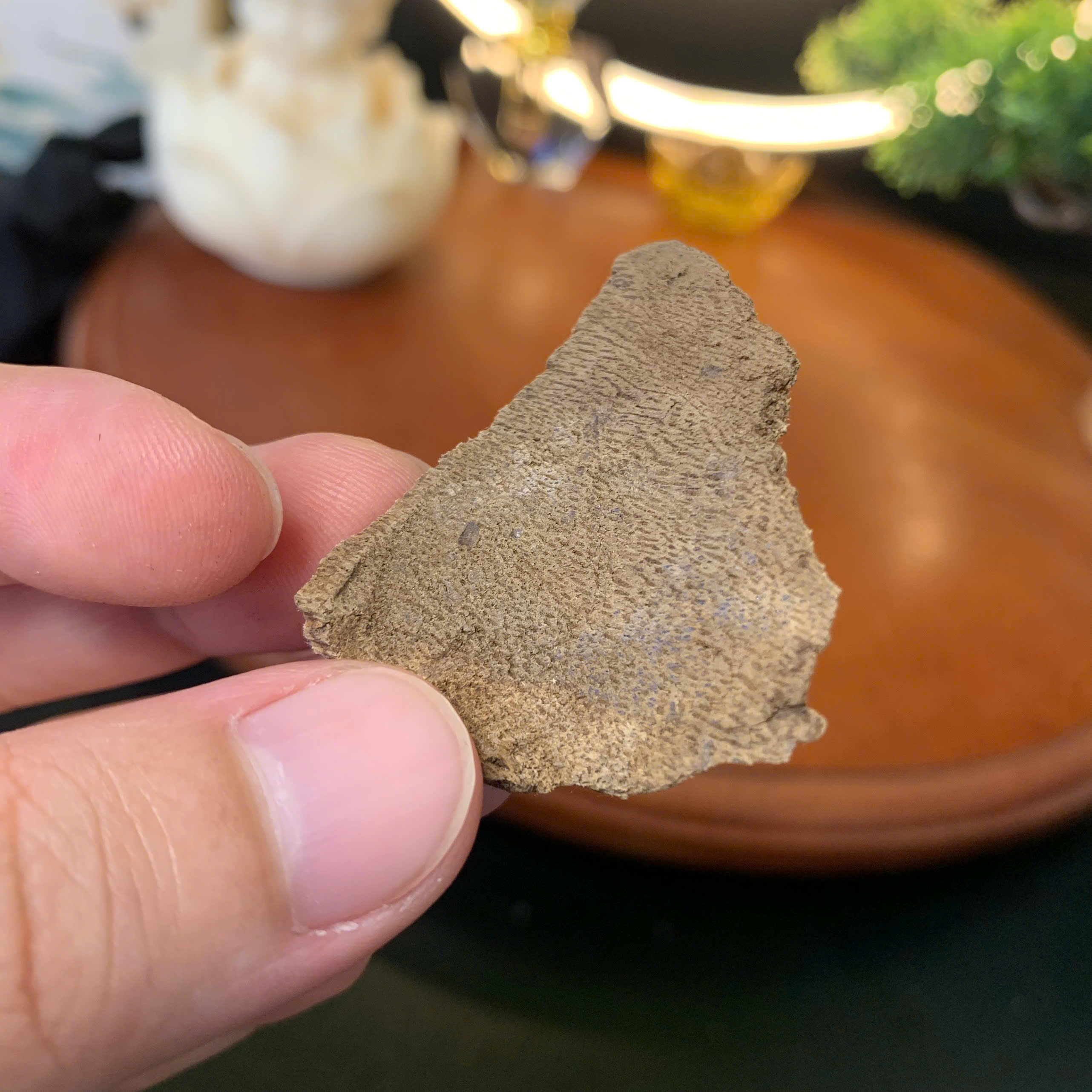 Vụn Trầm xông Phúc Trạch Việt Nam thơm ngọt thanh khiết lọ 10g 141
