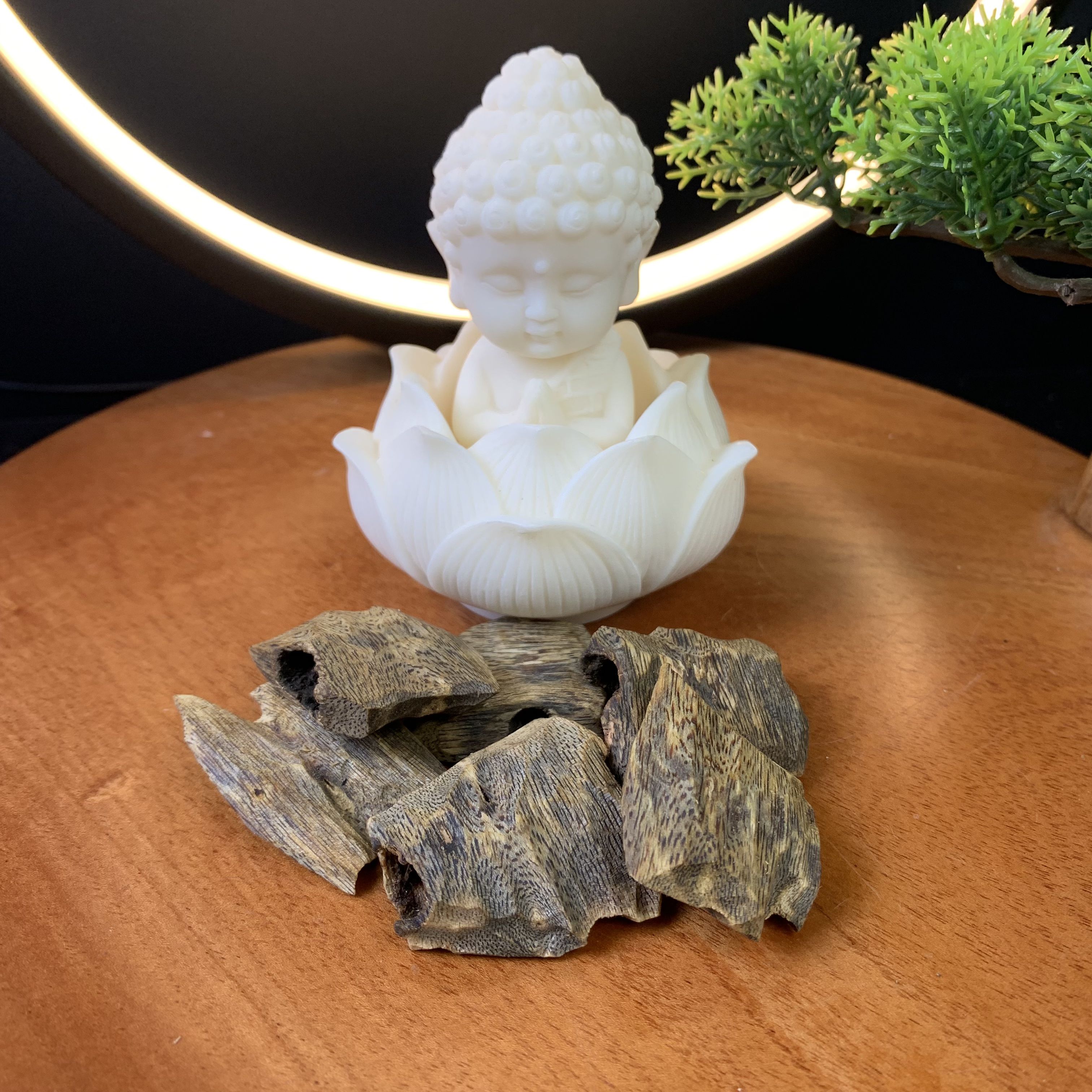 Miếng trầm hương Kỳ Hải Nam xông đốt bỏ ví tài lộc và bình an, gỗ trầm hương phong thuỷ may mắn, sức khoẻ bình an miếng 3-4g 103