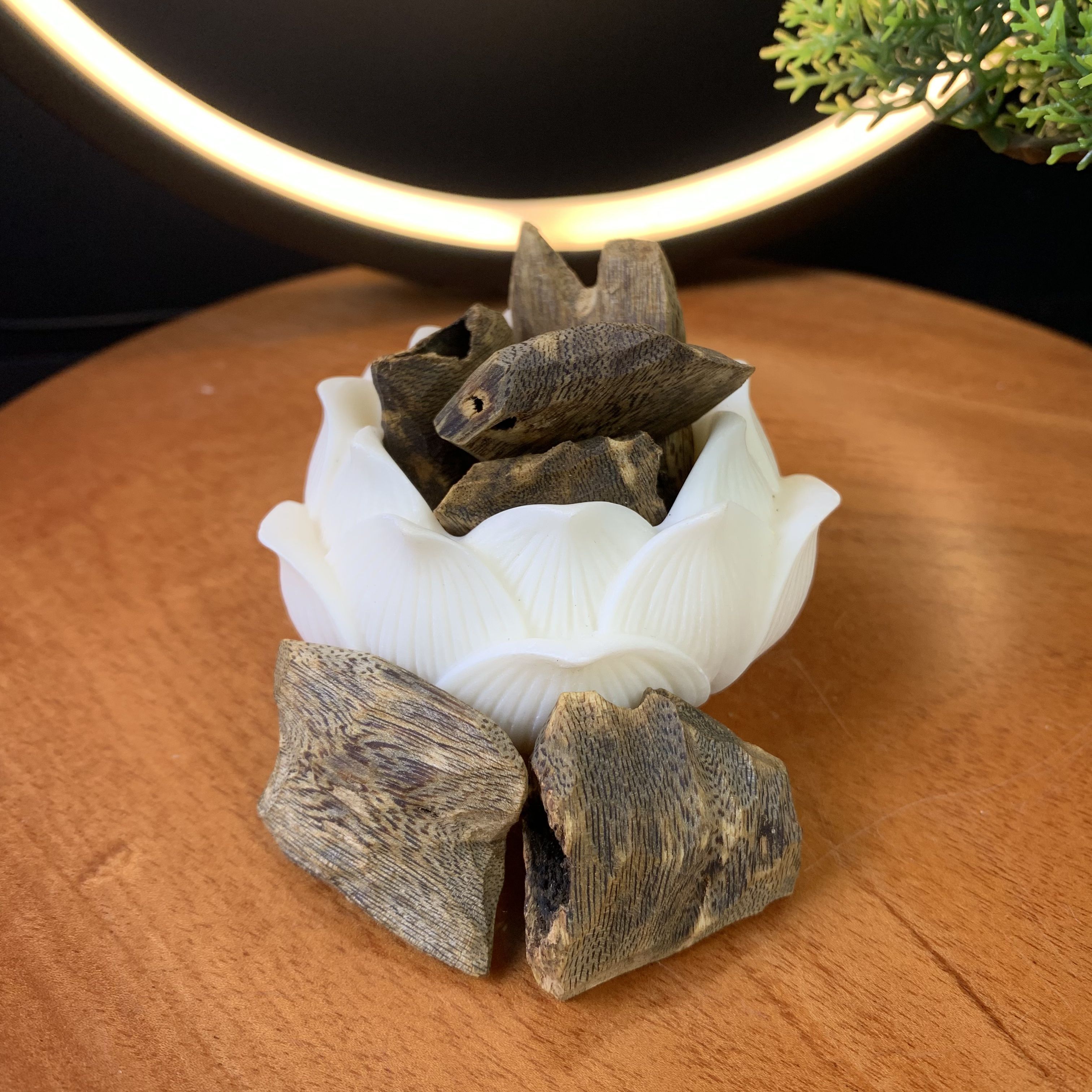 Miếng trầm hương Kỳ Hải Nam xông đốt bỏ ví tài lộc và bình an, gỗ trầm hương phong thuỷ may mắn, sức khoẻ bình an miếng 3-4g 103