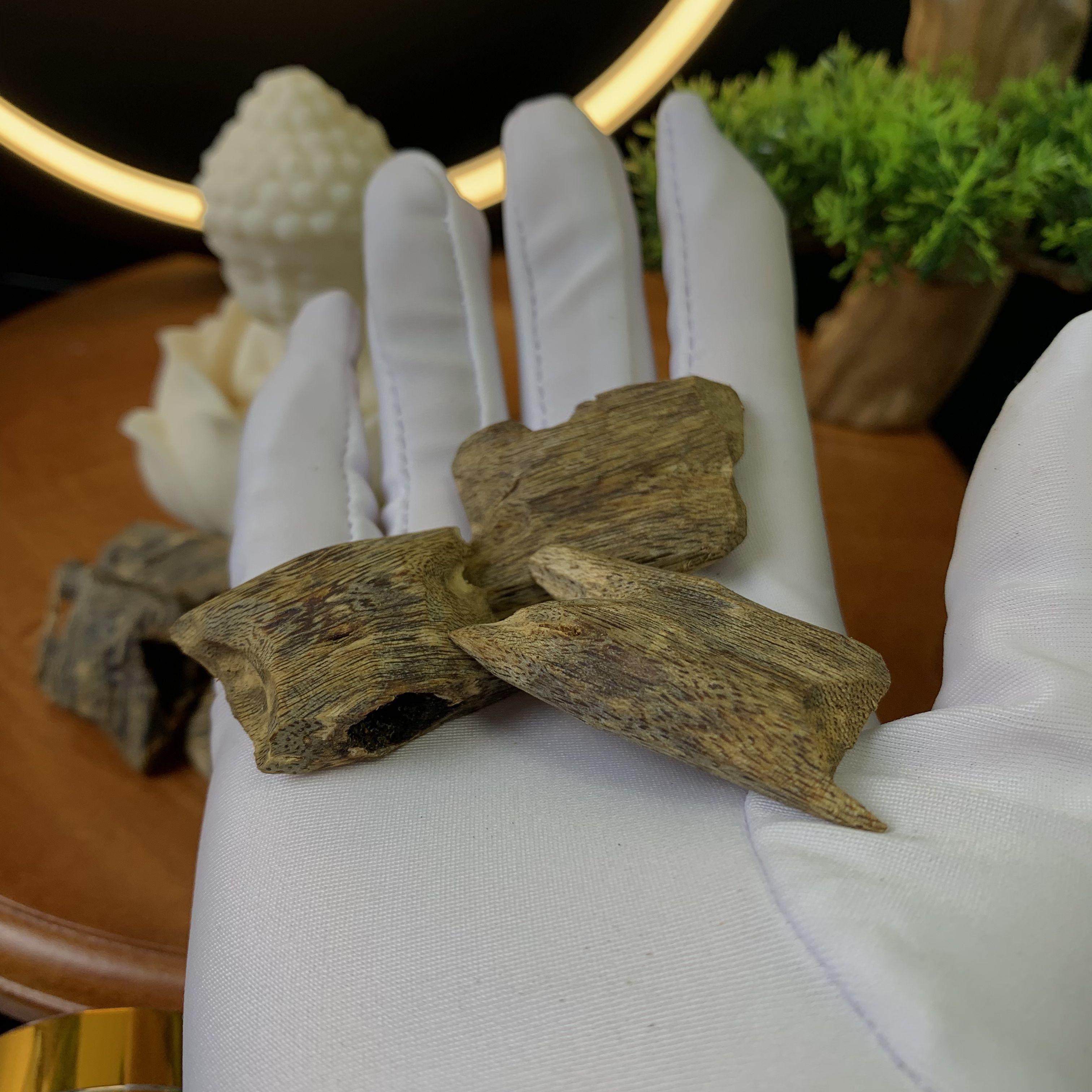 Miếng trầm hương Kỳ Hải Nam xông đốt bỏ ví tài lộc và bình an, gỗ trầm hương phong thuỷ may mắn, sức khoẻ bình an miếng 3-4g 103