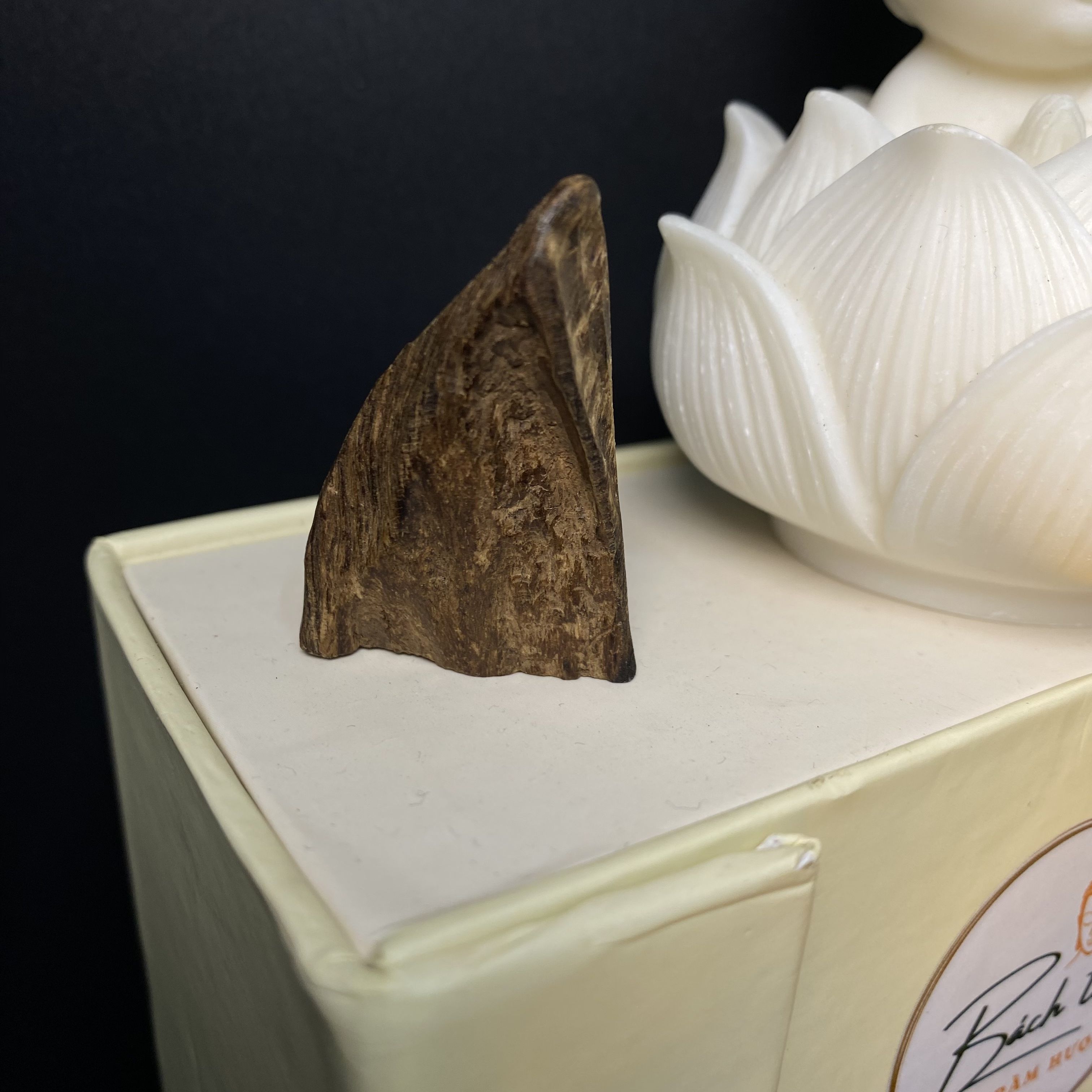 [LIMITED] MẶT TRẦM HƯƠNG TARAKAN INDONESIA – CHÌM NƯỚC – MÙI SỐNG SIÊU NGỌT – DUY NHẤT 1 MẶT #0002