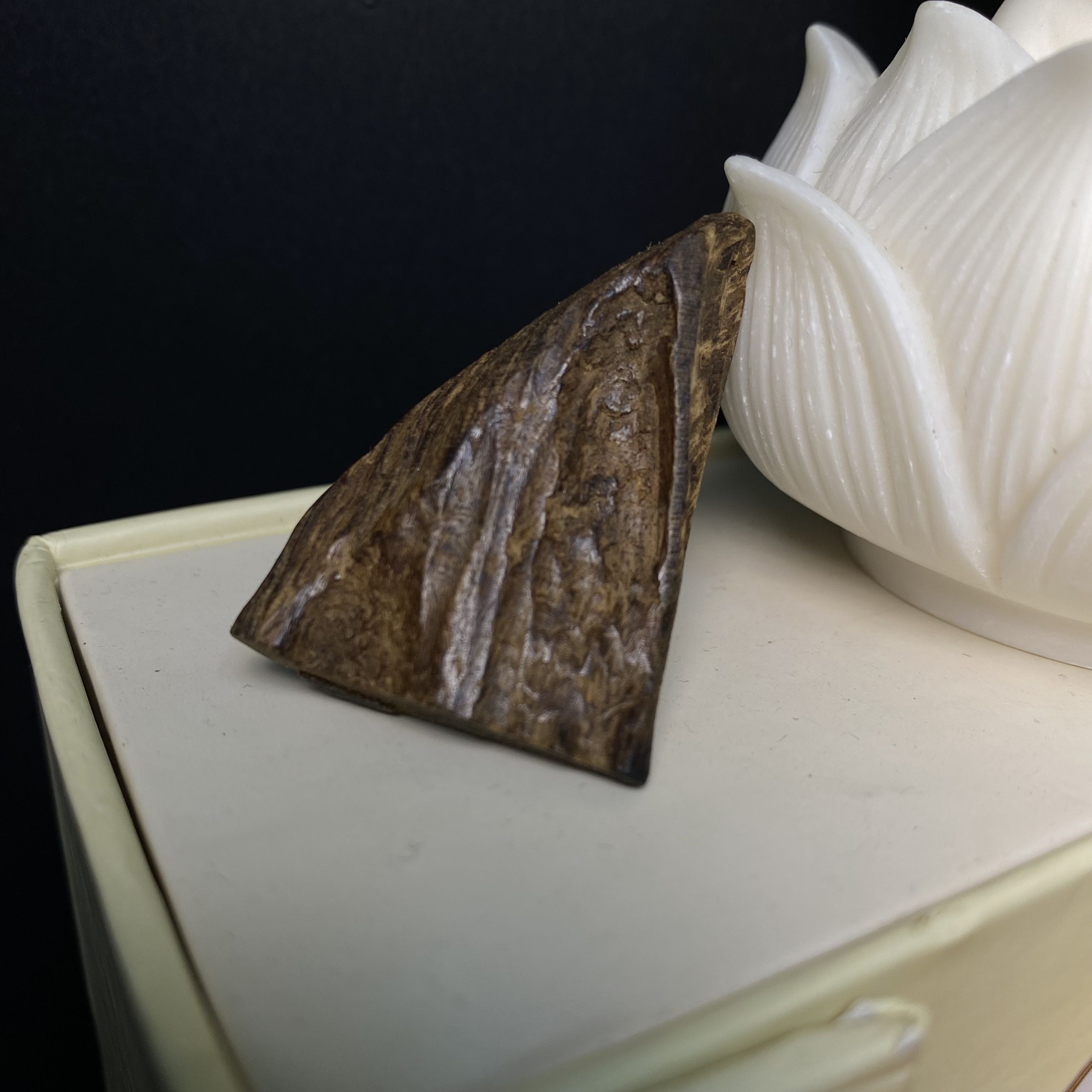 [LIMITED] MẶT TRẦM HƯƠNG TARAKAN INDONESIA – CHÌM NƯỚC – MÙI SỐNG SIÊU NGỌT – DUY NHẤT 1 MẶT #0002