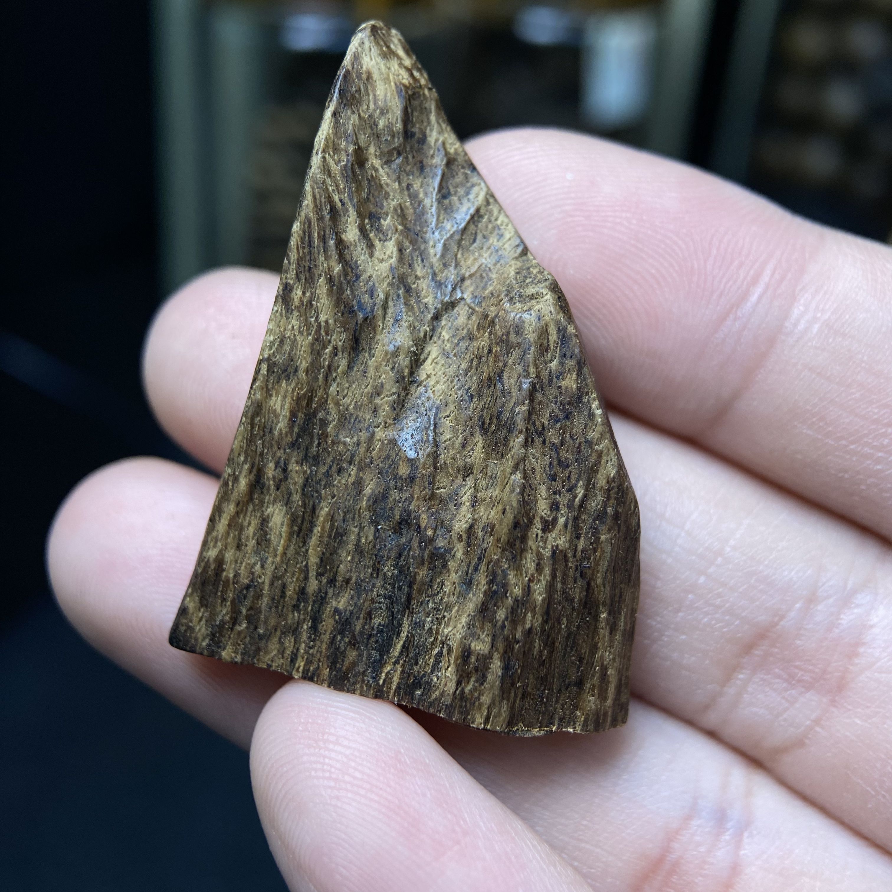 [LIMITED] MẶT TRẦM HƯƠNG TARAKAN INDONESIA – CHÌM NƯỚC – MÙI SỐNG SIÊU NGỌT – DUY NHẤT 1 MẶT #0002