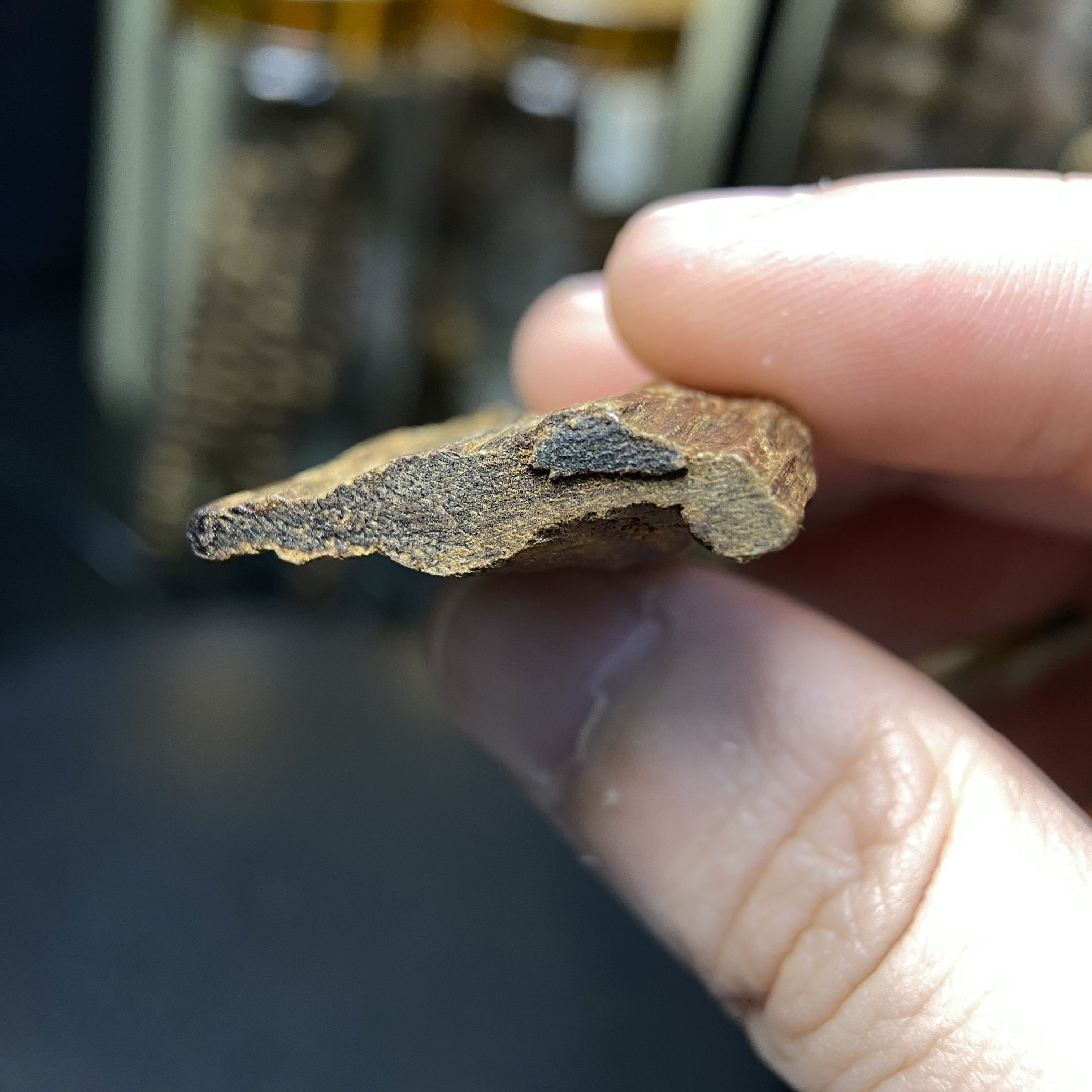 [LIMITED] MẶT TRẦM HƯƠNG TARAKAN INDONESIA – CHÌM NƯỚC – MÙI SỐNG SIÊU NGỌT – DUY NHẤT 1 MẶT #0002