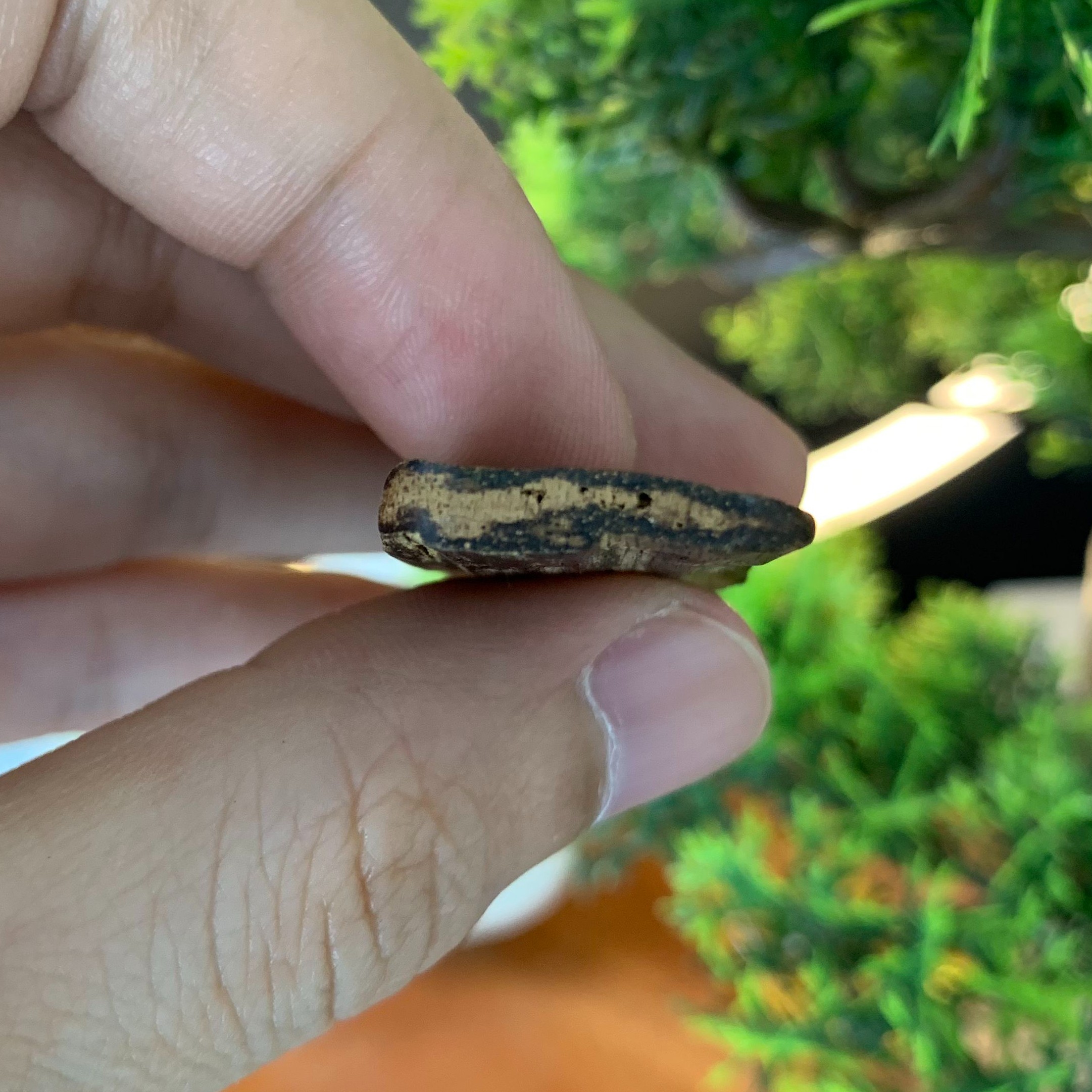 [LIMITED] Mặt trầm hương cận chìm Tarakan Indonesia thơm sống ngọt siêu mạnh bốc #0003