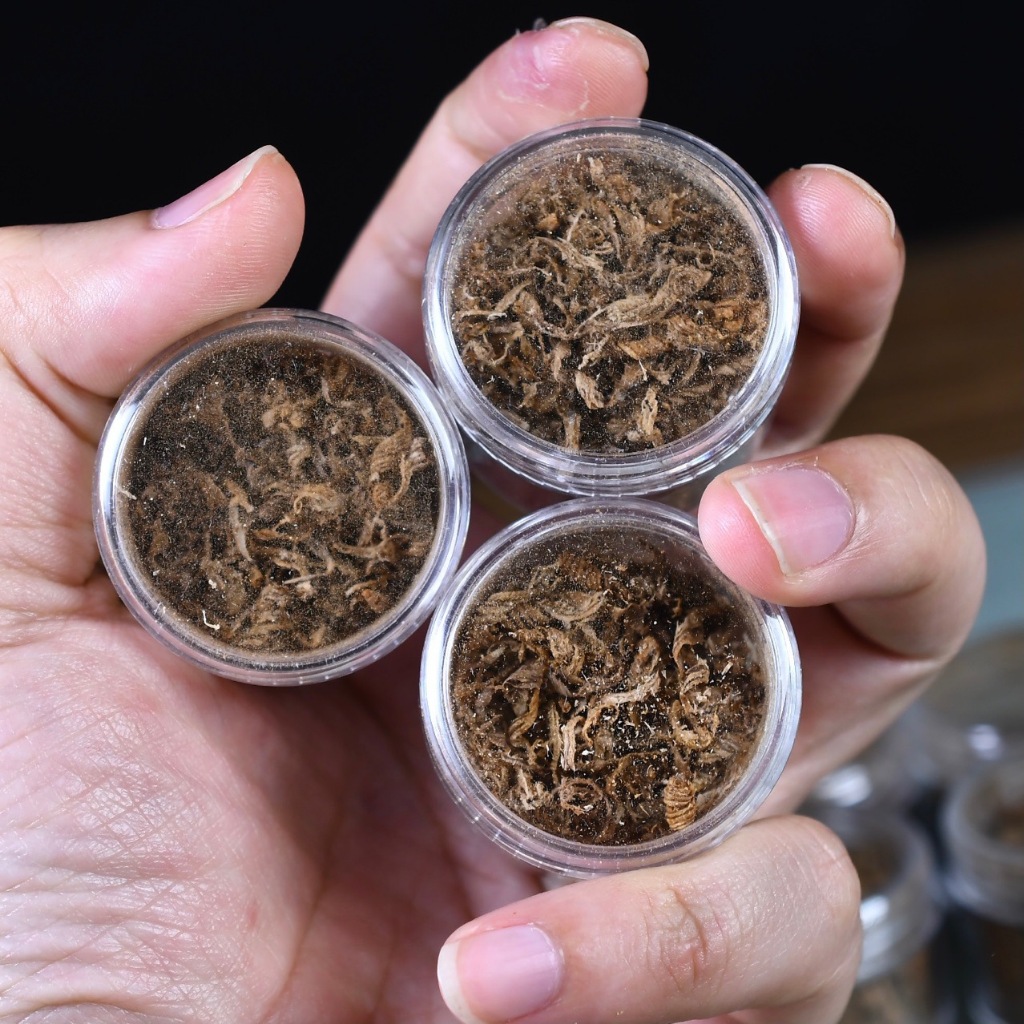 Vụn trầm hương Kì Hải Nam dưỡng vòng xông đốt  mùi thơm cay nồng ngọt LỌ 1gr 105