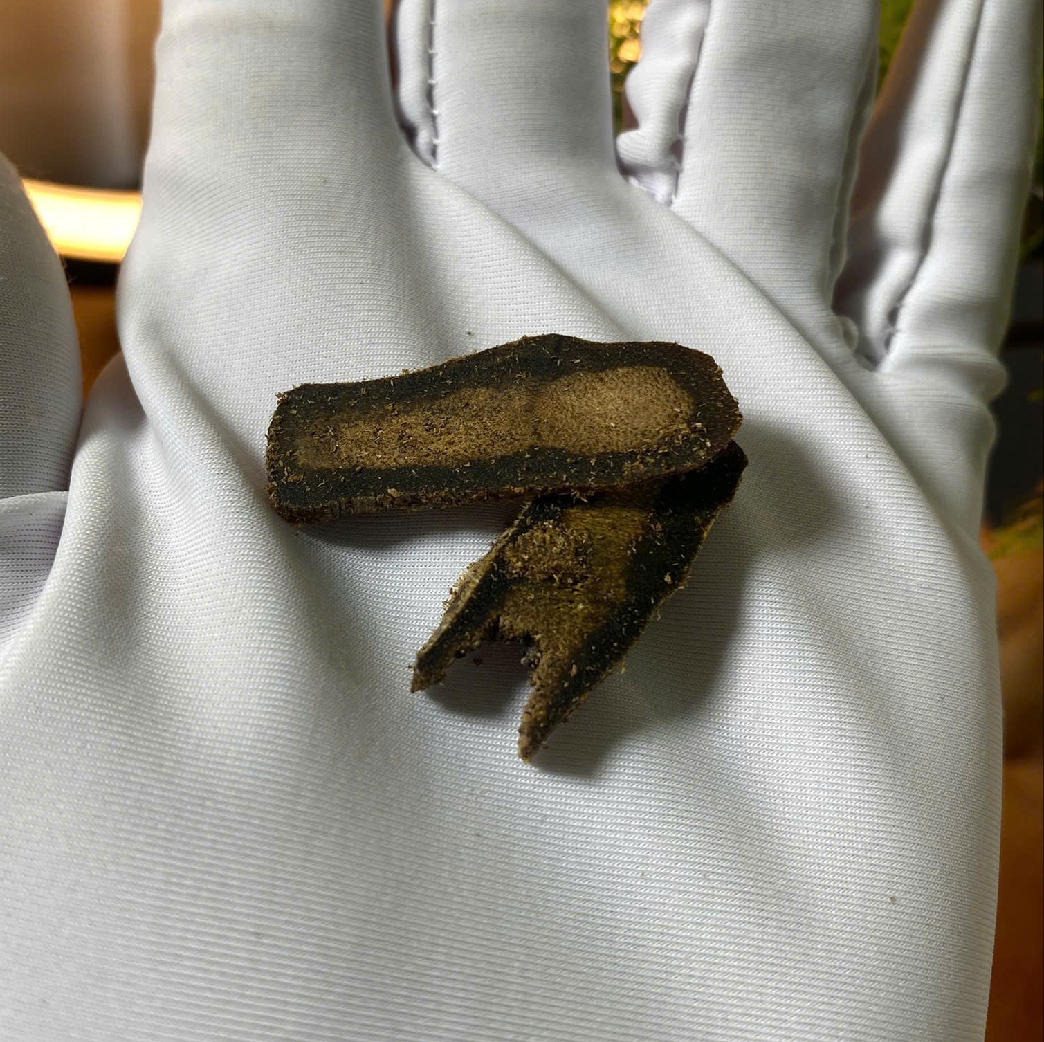 Vụn xông đốt trầm Kì Hải Nam cao cấp lọ 10 gram 120