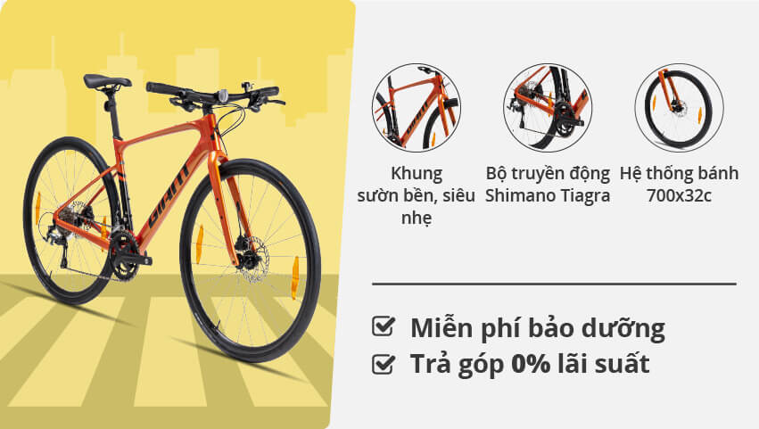 Xe đạp đường phố