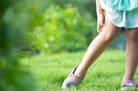 Các cách phòng chống sốt xuất huyết ở trẻ đơn giản nhất